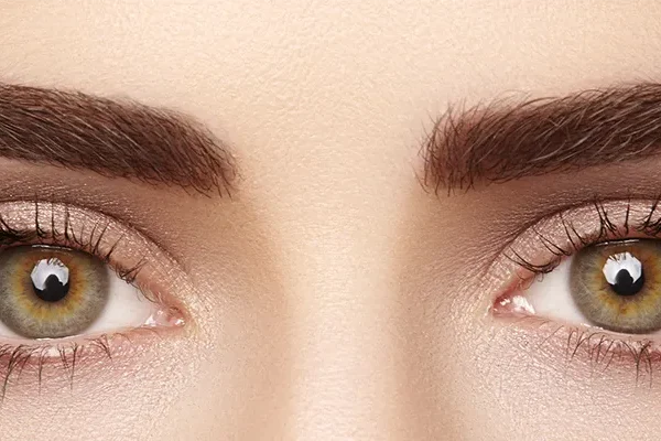 Il Trapianto di Sopracciglia